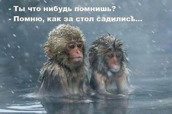 Картинки, юмор, приколы