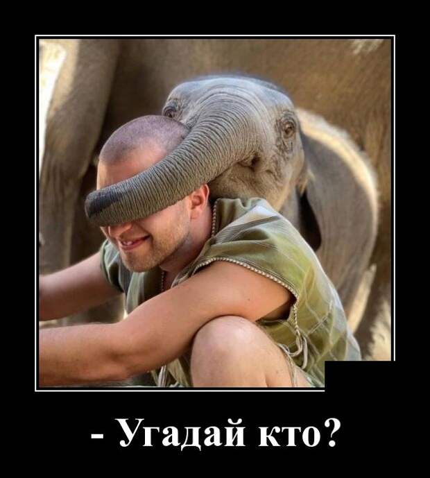 Демотиваторы (30 фото)
