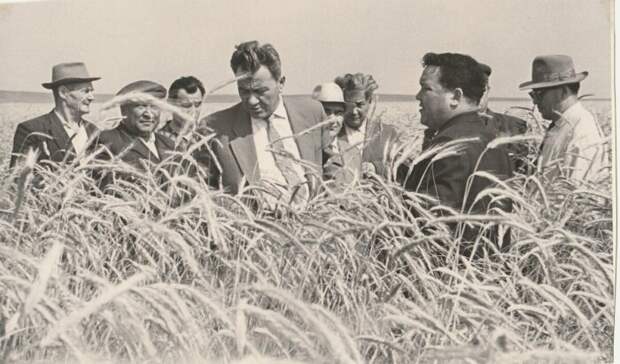 В восьмидесятых годах двадцатого столетия цены на нефть упали, поэтому импортировать зерно для СССР стало очень дорогой и непосильной ношей / Фото: kunayev.kz
