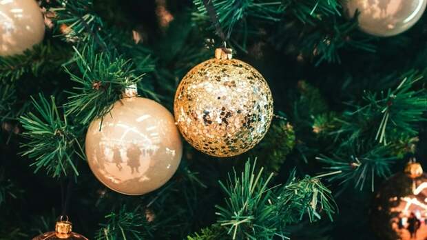 Новогодняя елка / Фото: Hert Niks / unsplash.com