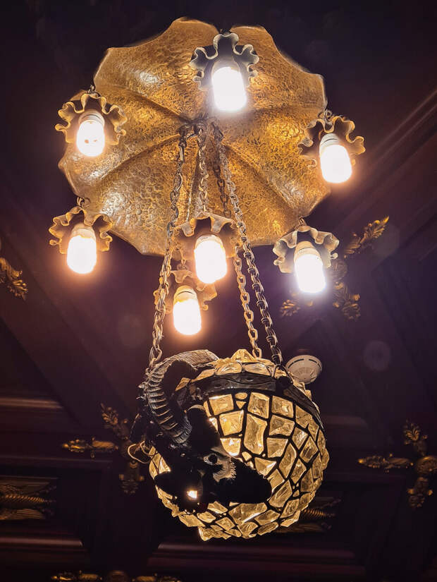 Фото: Парадная гостья