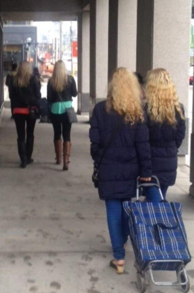 Copy + Past или сбой в матрице Copy Past или сбой в матрице