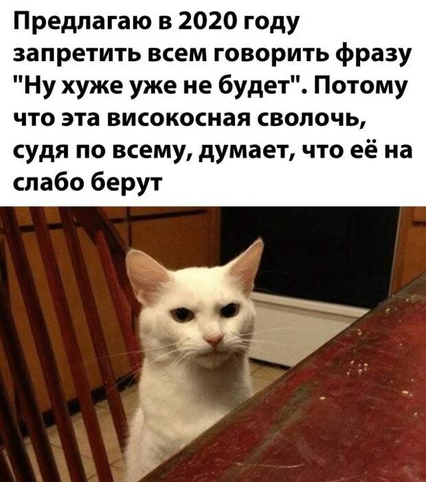 1598159678_kartinki-26.jpg