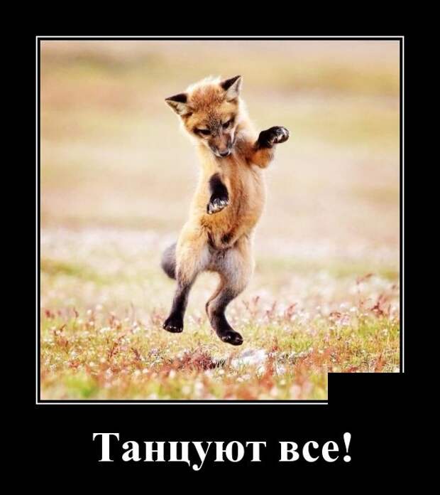 www.vsyako.net