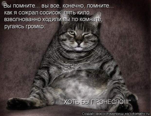 Приколы в котоматрице 12