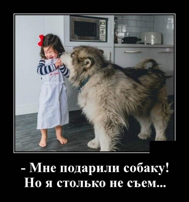 www.vsyako.net