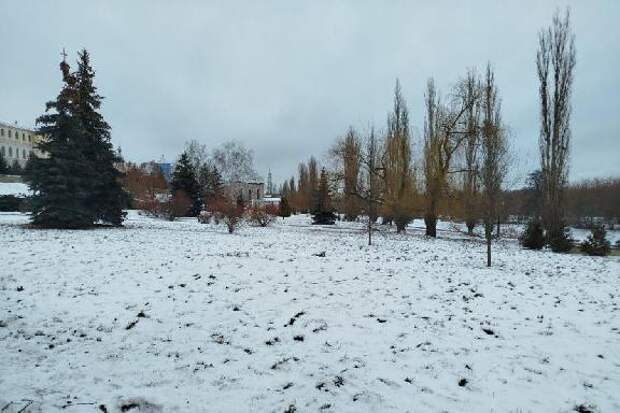 В Тамбове в выходные ожидается до -6 градусов и снег