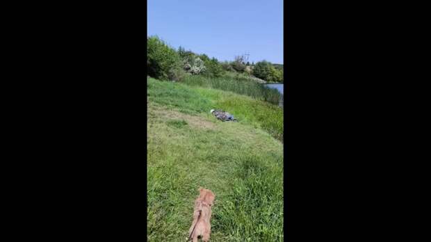 Video: Клип @donetskdnr_vk