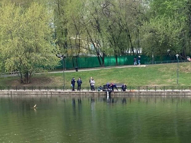 Водолазы по наводке испуганного дайвера обследовали московский пруд и не нашли трупы