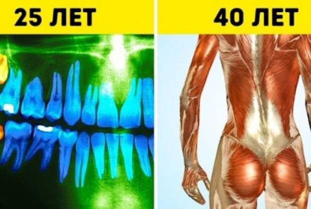 В организме человека каждый день происходят изменения.