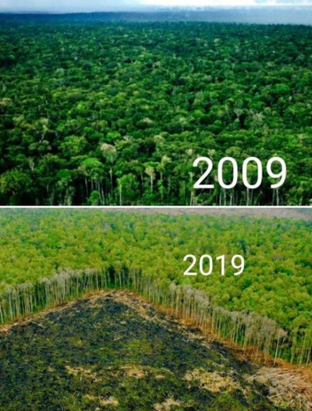 Климатические изменения от экологических организаций в стиле 10YearChallenge
