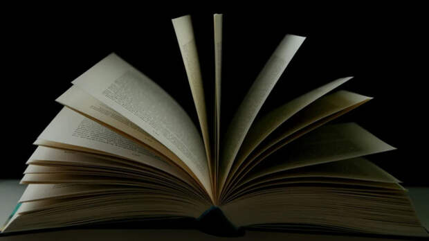 Страницы книги / Фото: unsplash.com