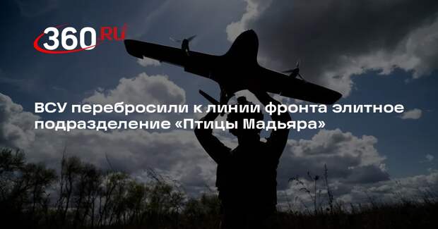 ВСУ перебросили к линии фронта элитное подразделение «Птицы Мадьяра»