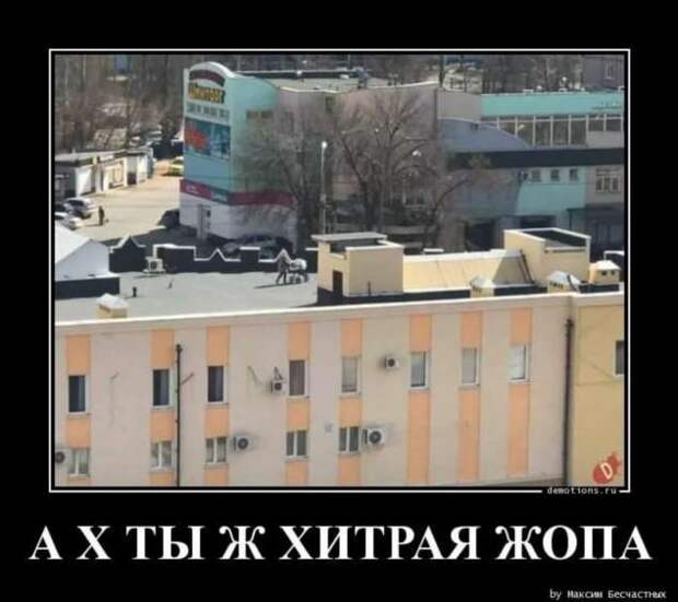 Прикольные демотиваторы с надписями. Подборка chert-poberi-dem-chert-poberi-dem-24120412112020-2 картинка chert-poberi-dem-24120412112020-2