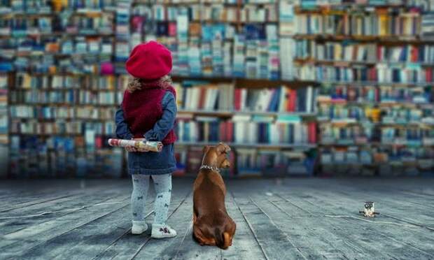 Картинки по запросу Детские книги, которые стоит перечитать взрослым