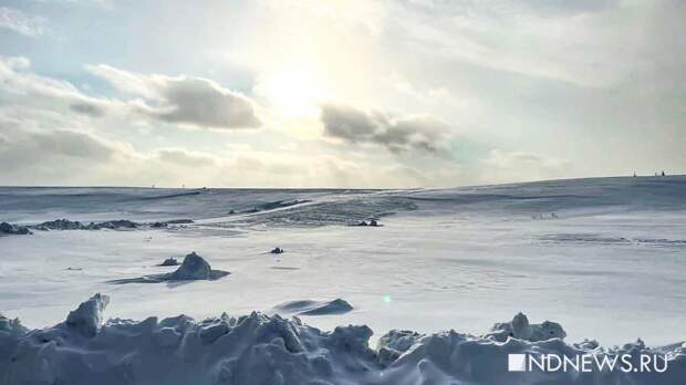 Финский залив впервые за 15 лет может полностью покрыться льдом