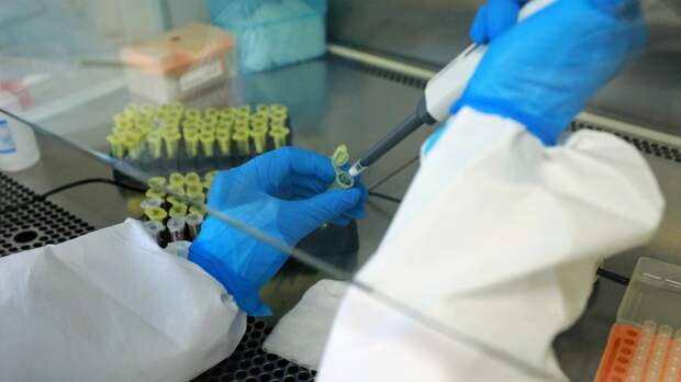 Лабораторные исследования / Фото: amic.ru