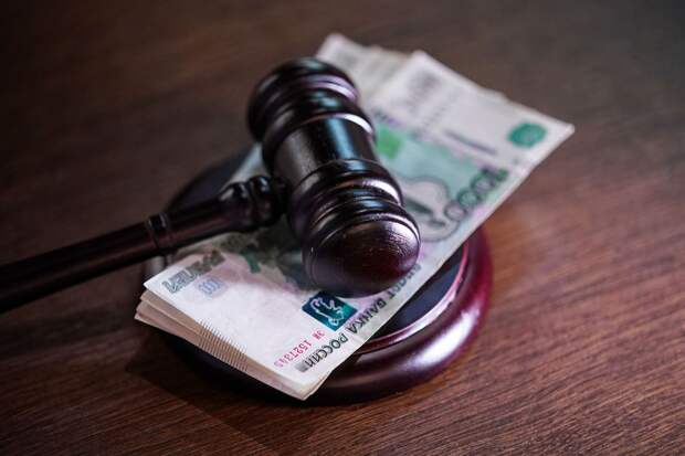 Юрист Фролова: наследство девятилетней девочки могут выставить на торги