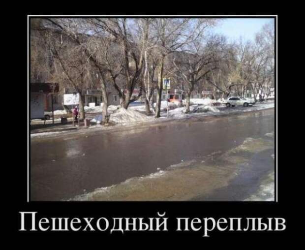Демотиваторы (30 фото)