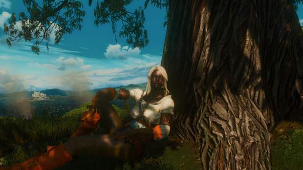 5 модов для The Witcher 3: Wild Hunt, «убивающих» книжный канон | Канобу - Изображение 6