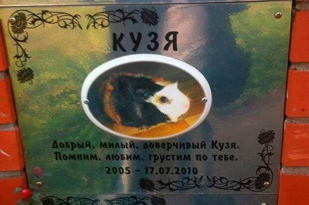 Кладбище домашних животных Кладбище домашних животных, грызуны, кошечки, попугайчики, собачки, фоторепортаж