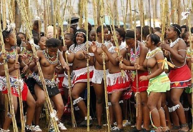 Праздник тростника и парад девственниц в Свазиленде.