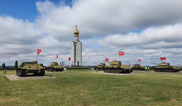 Птица Белгородской области Прохоровка