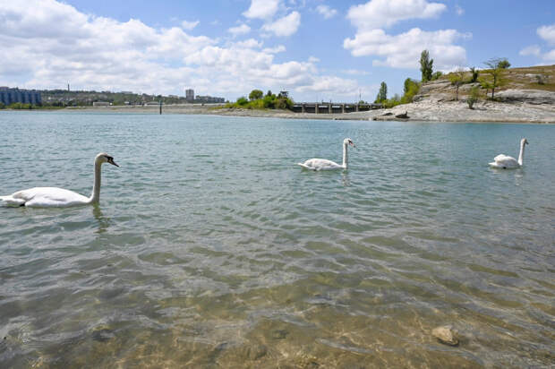 Как климатические циклы влияют на водные ресурсы Крыма