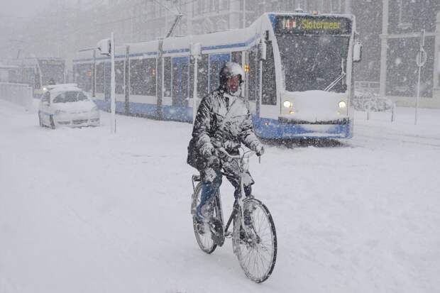 Зимние велосипеды и иммиграция в Петербург