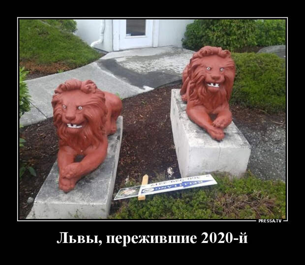 Демотиваторы