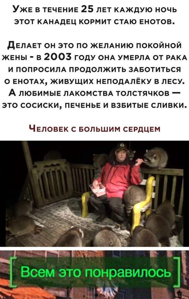 203850_23_trinixy_ru.jpg