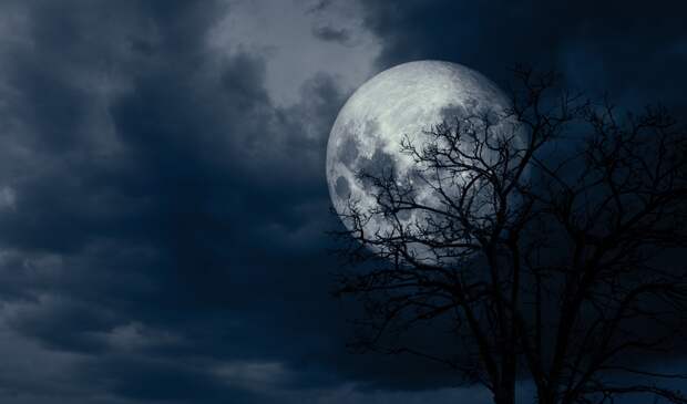 Лунный календарь на декабрь 2026 года: фазы Луны, удачные и неблагоприятные дни