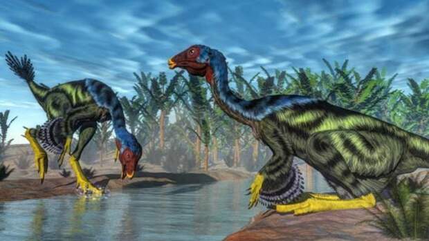 Китайские ученые смогли обнаружить хрящевые клетки из окаменелых останков небольшого динозавра Caudipteryx. Это может позволить им восстановить и упорядочить последовательность динозавров. 