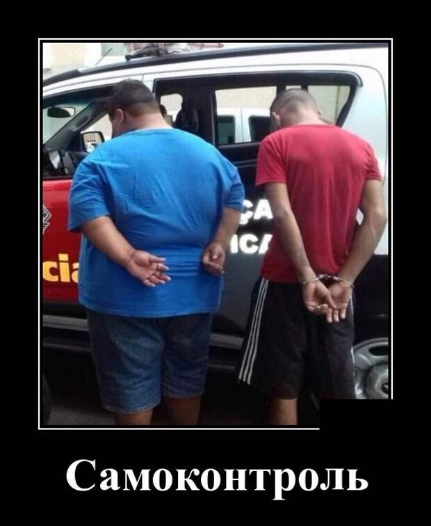 Демотиваторы (30 фото)