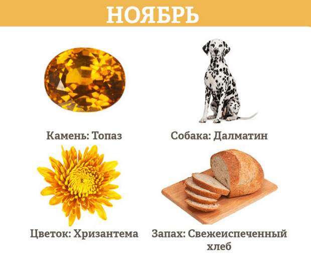 Гороскоп на ноябрь