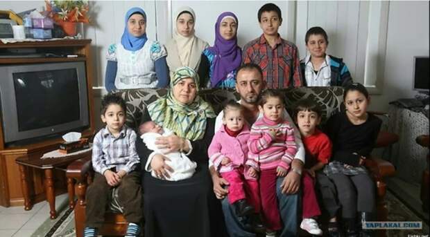 Мигрантов заставят платить налог за всю семью: Володин ужесточил правила