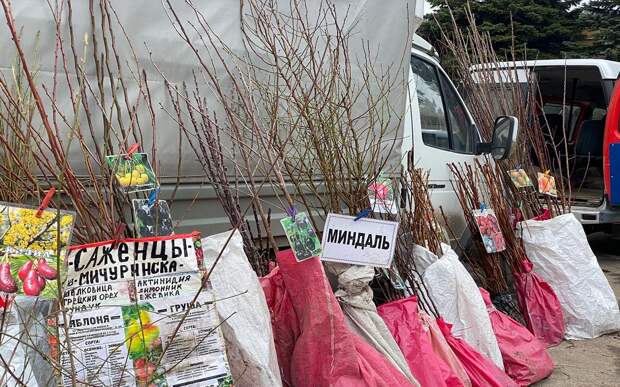 яр-4.jpeg яр-4.jpeg