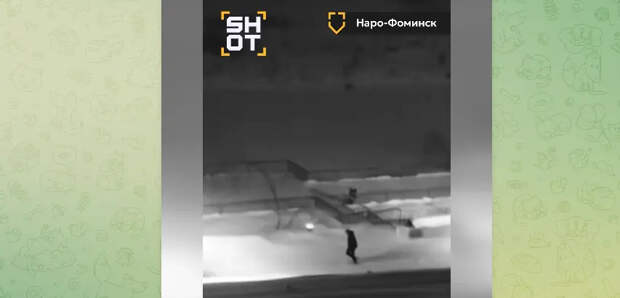 Пробирающихся сквозь сугробы жителей Подмосковья сняли на видео