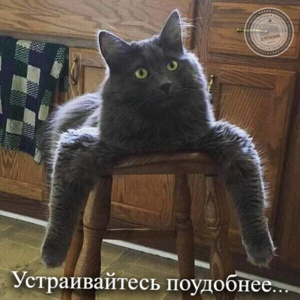 Присаживайся поудобнее