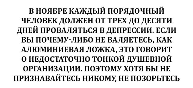 Подборка картинок. Вечерний выпуск (50 фото)