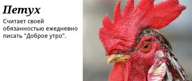 Мем: "Петуха забыли спросить" - Все шаблоны - Meme …