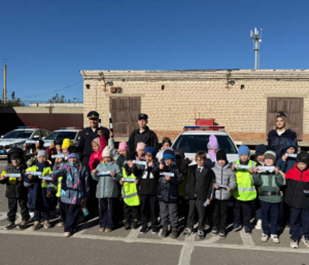 Сотрудники Госавтоинспекции Самарской области продолжают проводить профилактические мероприятия с юными участниками дорожного движения