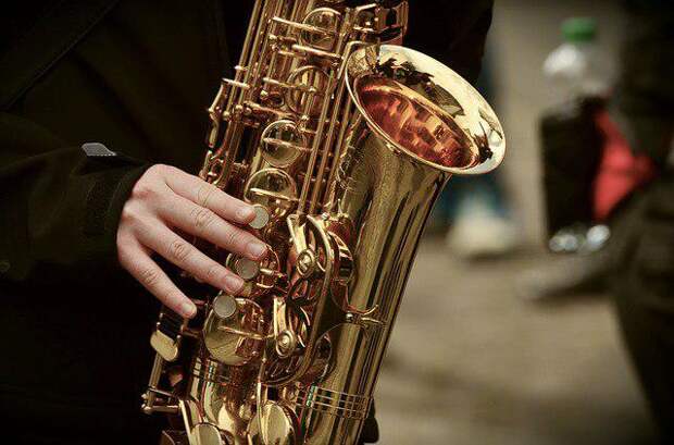 Анонс/ фото: pixabay.com