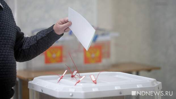 Выборы эпохи СВО: эксперт определил особенности предстоящего единого дня голосования
