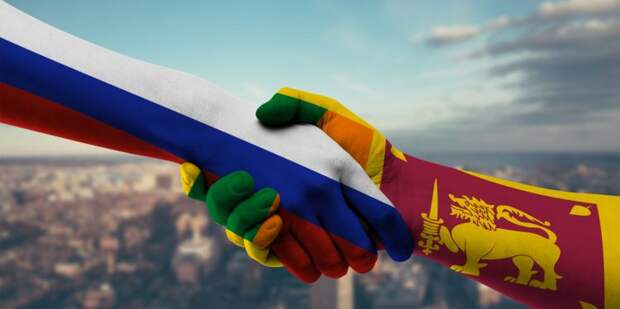 В МИД РФ заявили о просьбе Шри-Ланки помочь в преодолении энергокризиса