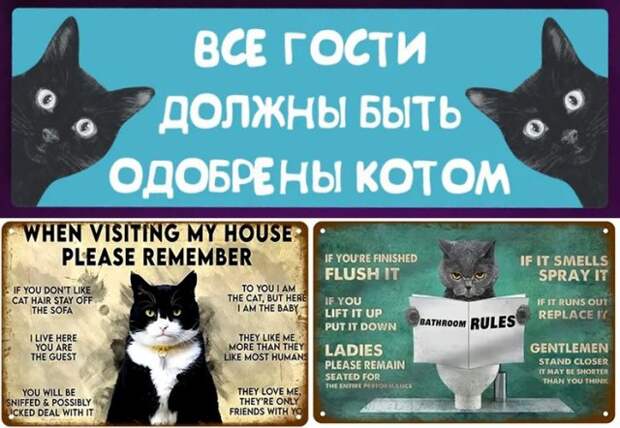смешные юмористические прикольные таблички на забор дом