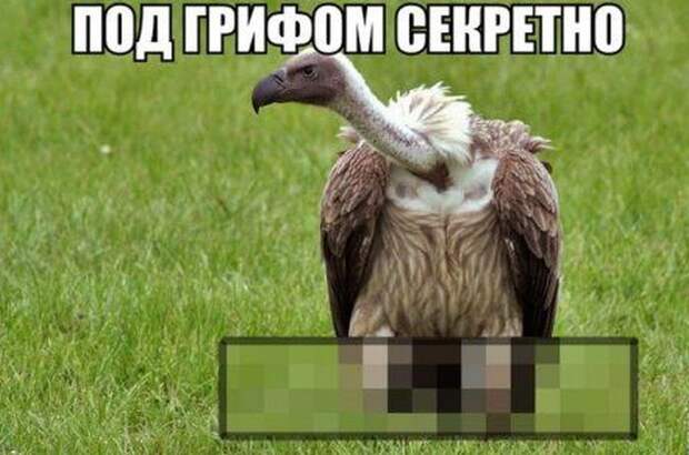 1475654506_70