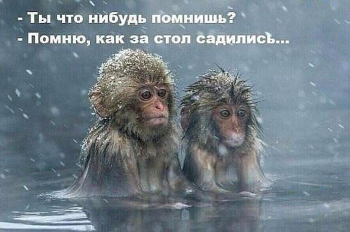 1487632580_shutki_11