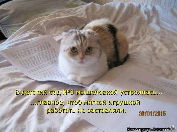 Приколы в котоматрице 1