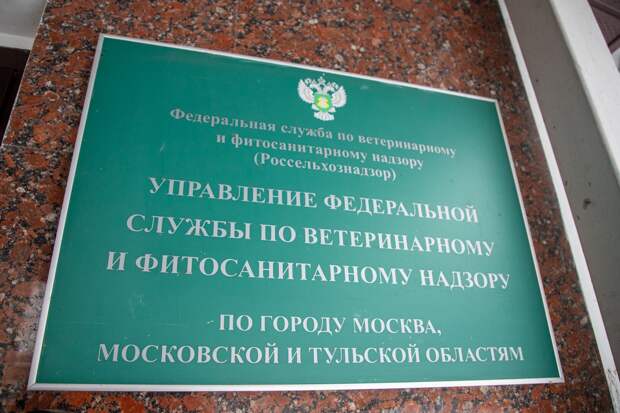 Собственника оштрафовали за заброшенный участок в 32 га в Тульской области